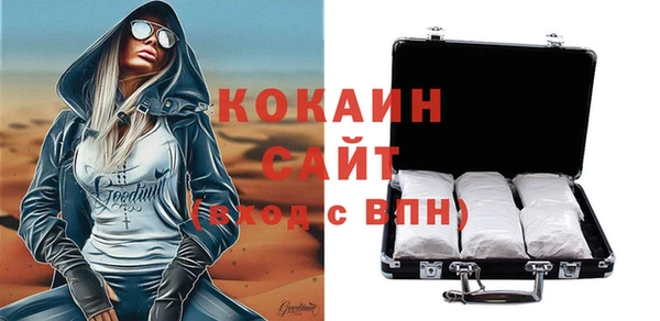 тгк Алзамай