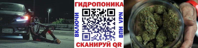 где продают наркотики Сыктывкар Каннабис VHQ